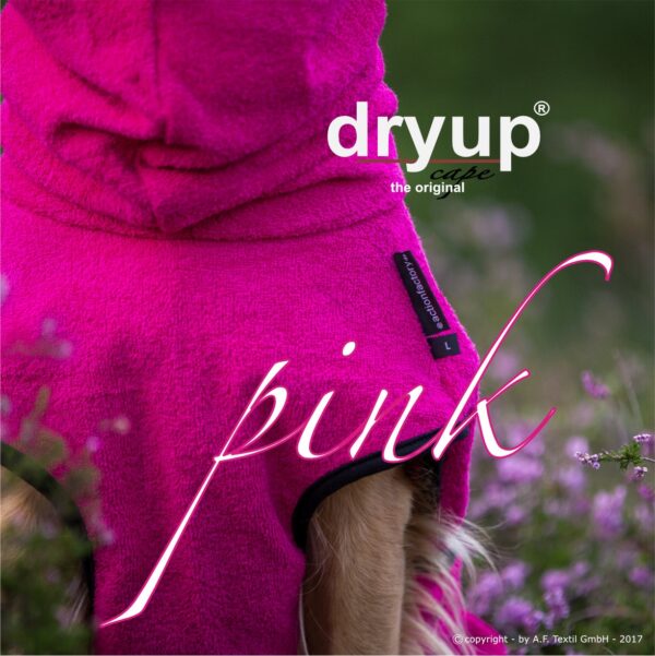 dryup pink header (1)