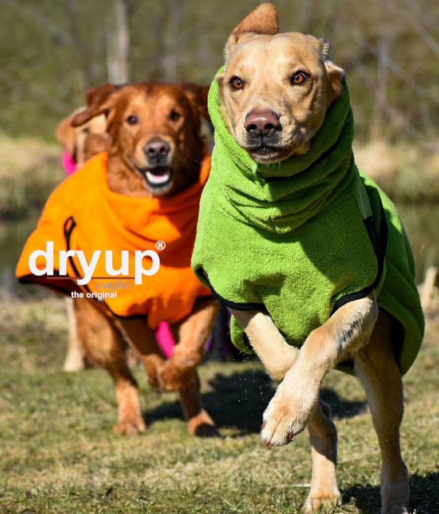 Dryup kuivausloimi koirat juoksee 2