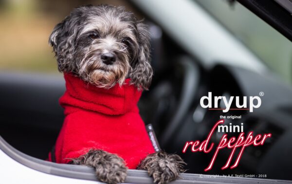 Dryup Mini Red Pepper kuivausloimi