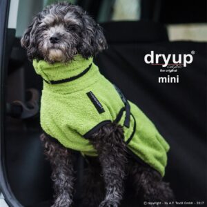 Dryup Mini Kiwi kuivausloimi