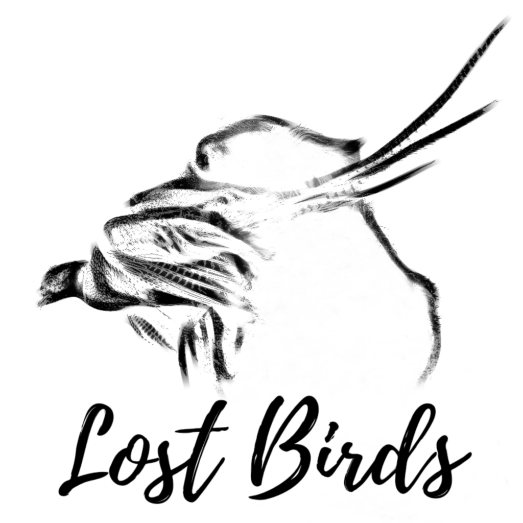 lost birds logo