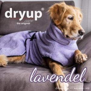 Dryup lavendel