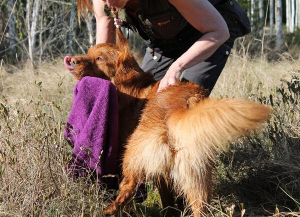 Dryup Towel - Image 2