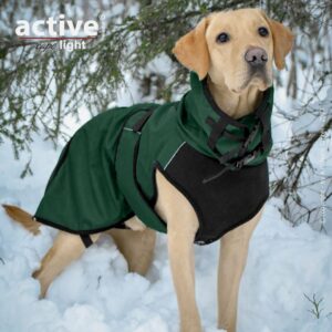 active elastic light -forestgreen- Produktbild-1_1920x1920