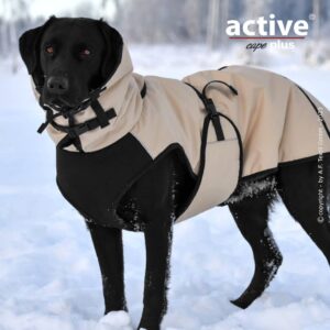 Active plus elastic sand