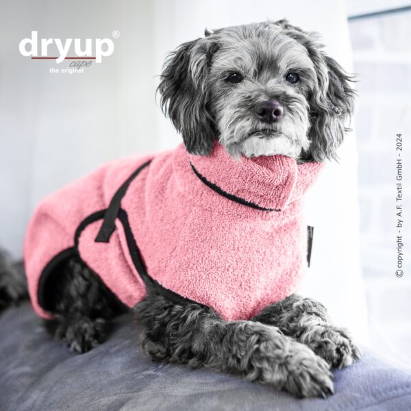 Dryup Mini Rose kuivausloimi - Image 2