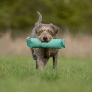 Sporting Saint Hanhi ja Jänis Dummy 2,7kg