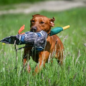 Sporting Saint Dead Bird Dummy Sorsa